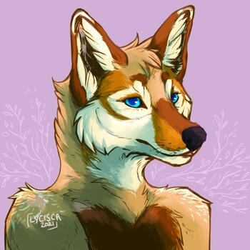 An anthro/furry coyote from the shoulders up with golden-brown fur and blue eyes. The background is a pale lilac colour.